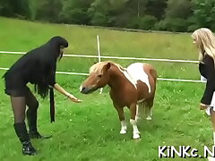 Hard-core fuck-stick castigation