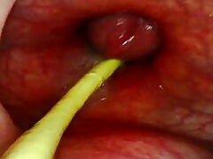 EXTREME Assfuck POV. CAMERA Inwards HER Butt-hole AS I POUND HER WITH MY BIG COCK AND CUM DEEP Inwards