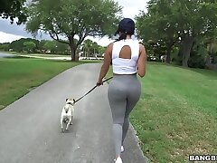 Diamond Kitten Arrives at Ass fucking City (ma14478)
