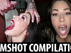 Good Sluts Don't Dodge The Jizm - SHAIDEN ROGUE Facial cumshot & CUMSHOT COMPILATION