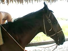 Boning while railing a pony
