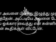 Tamil Romp Story Audio - Office Gal