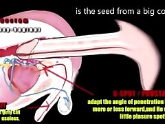 I want to perceive like a Gal taken by a Big black cock