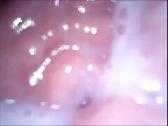 web cam in gullet pussy and bum