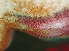 Engaged India dolls Village food my bedroom in the world