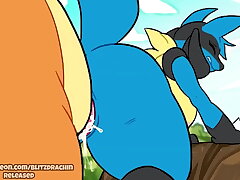 Lucario railed by Charizard