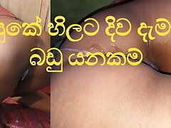 eating Anal Sinhala Enjoyment from the tongue -ass slurping