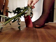 Violent cockboard Cock ball torture