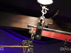 Smoothly-shaven gimp in cell with good-sized ball gag