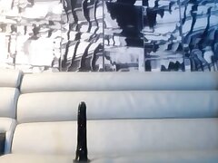 Faux-cock rail with d ass