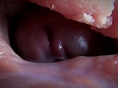 crud compilation