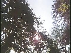 HD Vid 106