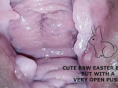Adorable plus-size bunny, but with a highly open beaver